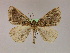  ( - BC ZSM Lep 09963)  @13 [ ] CreativeCommons - Attribution Non-Commercial Share-Alike (2010) Unspecified SNSB, Zoologische Staatssammlung Muenchen