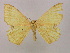  ( - BC ZSM Lep 09968)  @12 [ ] CreativeCommons - Attribution Non-Commercial Share-Alike (2010) Unspecified SNSB, Zoologische Staatssammlung Muenchen