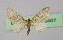  ( - BC ZSM Lep 16567)  @13 [ ] CreativeCommons - Attribution Non-Commercial Share-Alike (2010) Unspecified SNSB, Zoologische Staatssammlung Muenchen