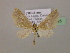  ( - BC ZSM Lep 16925)  @12 [ ] CreativeCommons - Attribution Non-Commercial Share-Alike (2010) Unspecified SNSB, Zoologische Staatssammlung Muenchen