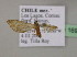  (Eupithecia spurcataAH05 - BC ZSM Lep 16991)  @13 [ ] CreativeCommons - Attribution Non-Commercial Share-Alike (2010) Unspecified SNSB, Zoologische Staatssammlung Muenchen