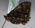  ( - BC LP 0001)  @12 [ ] Unspecified (default): All Rights Reserved  Unspecified Unspecified