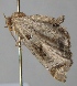  (Euphyia LP01Cl - BC LP 0014)  @13 [ ] Unspecified (default): All Rights Reserved  Unspecified Unspecified
