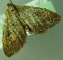  ( - BC LP 0027)  @12 [ ] Unspecified (default): All Rights Reserved  Unspecified Unspecified