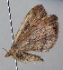 ( - BC LP 0028)  @12 [ ] Unspecified (default): All Rights Reserved  Unspecified Unspecified