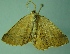  ( - BC LP 0034)  @12 [ ] Unspecified (default): All Rights Reserved  Unspecified Unspecified