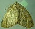  ( - BC LP 0036)  @12 [ ] Unspecified (default): All Rights Reserved  Unspecified Unspecified
