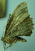 ( - BC LP 0053)  @12 [ ] Unspecified (default): All Rights Reserved  Unspecified Unspecified