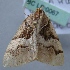  ( - BC LP 0067)  @14 [ ] Unspecified (default): All Rights Reserved  Unspecified Unspecified
