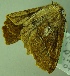  ( - BC LP 0082)  @12 [ ] Unspecified (default): All Rights Reserved  Unspecified Unspecified