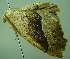  ( - BC LP 0083)  @12 [ ] Unspecified (default): All Rights Reserved  Unspecified Unspecified