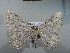  ( - BC NP 0011)  @12 [ ] Copyright (2010) Unspecified Research Collection of Norbert Poell