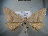  ( - BC NP 0024)  @13 [ ] Copyright (2010) Unspecified Research Collection of Norbert Poell