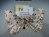  ( - BC NP 0037)  @12 [ ] Copyright (2010) Unspecified Research Collection of Norbert Poell