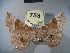  ( - BC NP 0109)  @13 [ ] Copyright (2010) Unspecified Research Collection of Norbert Poell