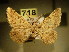  ( - BC NP 0122)  @13 [ ] Copyright (2010) Unspecified Research Collection of Norbert Poell