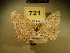  ( - BC NP 0128)  @12 [ ] Copyright (2010) Unspecified Research Collection of Norbert Poell