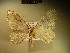  ( - BC NP 0140)  @13 [ ] Copyright (2010) Unspecified Research Collection of Norbert Poell