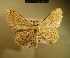  ( - BC NP 0144)  @13 [ ] Copyright (2010) Unspecified Research Collection of Norbert Poell