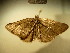  ( - BC NP 0156)  @12 [ ] Copyright (2010) Unspecified Research Collection of Norbert Poell