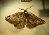  ( - BC NP 0157)  @12 [ ] Copyright (2010) Unspecified Research Collection of Norbert Poell