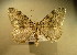  ( - BC NP 0166)  @13 [ ] Copyright (2010) Unspecified Research Collection of Norbert Poell