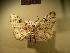  ( - BC NP 0174)  @12 [ ] Copyright (2010) Unspecified Research Collection of Norbert Poell