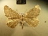  ( - BC NP 0182)  @13 [ ] Copyright (2010) Unspecified Research Collection of Norbert Poell