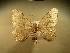  ( - BC NP 0189)  @13 [ ] Copyright (2010) Unspecified Research Collection of Norbert Poell