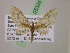 (Eupithecia AH72Ec - BC ZSM Lep 05335)  @11 [ ] CreativeCommons - Attribution Non-Commercial Share-Alike (2010) Unspecified SNSB, Zoologische Staatssammlung Muenchen