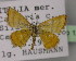  ( - BC ZSM Lep 15044)  @12 [ ] CreativeCommons - Attribution Non-Commercial Share-Alike (2010) Unspecified SNSB, Zoologische Staatssammlung Muenchen