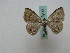  (Tasta argozanaAH01 - BC ZSM Lep 16148)  @14 [ ] CreativeCommons - Attribution Non-Commercial Share-Alike (2010) Unspecified SNSB, Zoologische Staatssammlung Muenchen