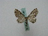  (Eupithecia AH03Ch - BC ZSM Lep 16161)  @13 [ ] CreativeCommons - Attribution Non-Commercial Share-Alike (2010) Unspecified SNSB, Zoologische Staatssammlung Muenchen