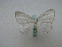  (Orthocabera tinagmariaAH01 - BC ZSM Lep 16207)  @13 [ ] CreativeCommons - Attribution Non-Commercial Share-Alike (2010) Unspecified SNSB, Zoologische Staatssammlung Muenchen