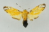 ( - BC ZSM Lep 16697)  @13 [ ] CreativeCommons - Attribution Non-Commercial Share-Alike (2010) Unspecified SNSB, Zoologische Staatssammlung Muenchen