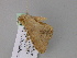  ( - BC ZSM Lep 17755)  @11 [ ] CreativeCommons - Attribution Non-Commercial Share-Alike (2010) Unspecified SNSB, Zoologische Staatssammlung Muenchen