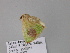  ( - BC ZSM Lep 17806)  @11 [ ] CreativeCommons - Attribution Non-Commercial Share-Alike (2010) Unspecified SNSB, Zoologische Staatssammlung Muenchen