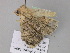 ( - BC ZSM Lep 17822)  @11 [ ] CreativeCommons - Attribution Non-Commercial Share-Alike (2010) Unspecified SNSB, Zoologische Staatssammlung Muenchen