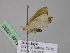  (Maxates AH01NG - BC ZSM Lep 17832)  @11 [ ] CreativeCommons - Attribution Non-Commercial Share-Alike (2010) Unspecified SNSB, Zoologische Staatssammlung Muenchen