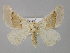  (Xenobiston - BC ZSM Lep 23929)  @14 [ ] CreativeCommons - Attribution Non-Commercial Share-Alike (2010) Unspecified SNSB, Zoologische Staatssammlung Muenchen