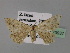  ( - BC ZSM Lep 23937)  @13 [ ] CreativeCommons - Attribution Non-Commercial Share-Alike (2010) Unspecified SNSB, Zoologische Staatssammlung Muenchen