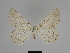  ( - SE MNC Lep 00051)  @12 [ ] Copyright (2010) Unspecified Museum fuer Naturkunde, Chemnitz