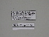  ( - SE MNC Lep 00109)  @12 [ ] Copyright (2010) Unspecified Museum fuer Naturkunde, Chemnitz
