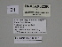  ( - SE MNC Lep 00111)  @12 [ ] Copyright (2010) Unspecified Museum fuer Naturkunde, Chemnitz