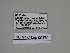  ( - SE MNC Lep 00170)  @11 [ ] Copyright (2010) Unspecified Museum fuer Naturkunde, Chemnitz
