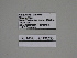 ( - SE MNC Lep 00205)  @11 [ ] Copyright (2010) Unspecified Museum fuer Naturkunde, Chemnitz