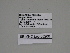  ( - SE MNC Lep 00206)  @11 [ ] Copyright (2010) Unspecified Museum fuer Naturkunde, Chemnitz
