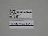  ( - SE MNC Lep 00217)  @11 [ ] Copyright (2010) Unspecified Museum fuer Naturkunde, Chemnitz