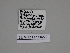  ( - SE MNC Lep 00220)  @11 [ ] Copyright (2010) Unspecified Museum fuer Naturkunde, Chemnitz
