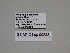  ( - SE MNC Lep 00233)  @11 [ ] Copyright (2010) Unspecified Museum fuer Naturkunde, Chemnitz